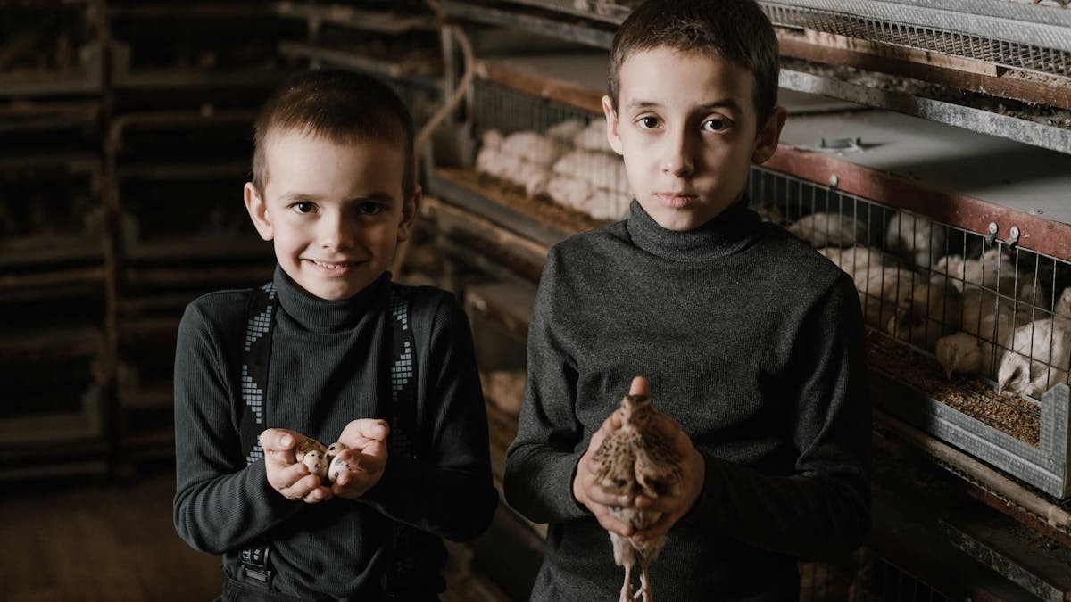 Adorable little brothers wearing black turtlenecks with quail and eggs standing inside fowl farm full of cages with live quails and looking at camera happily